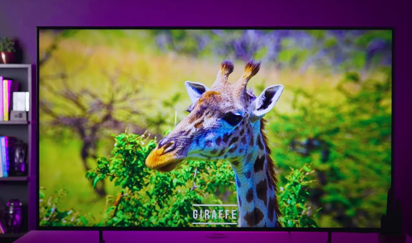 Samsung Crystal 4K 55" Smart TV