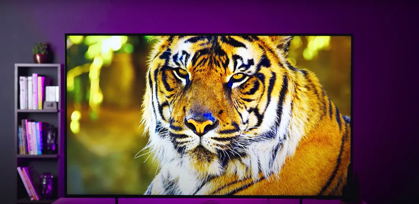 Samsung Crystal 4K Infinity version 55-inch LED TV displaying a vibrant image of Tiger , Showcasing 